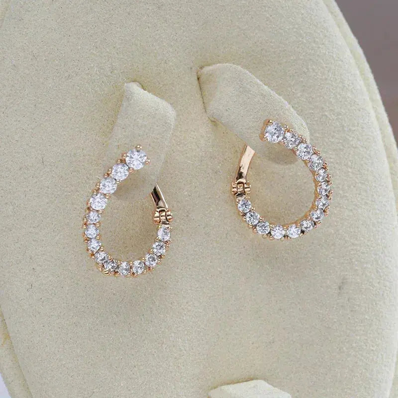 Earrings Brilliant Circle Unique Joyas